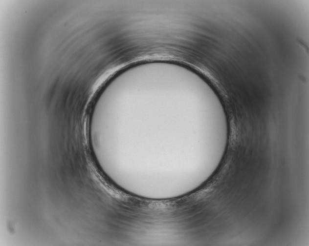 X0000100491078200806130750