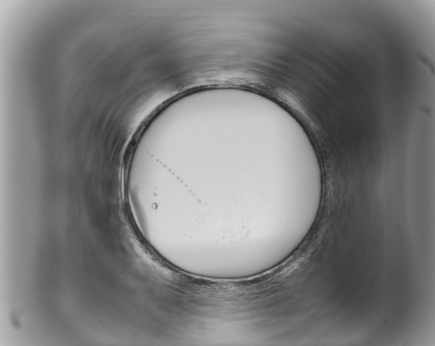 X0000100491079200806130750