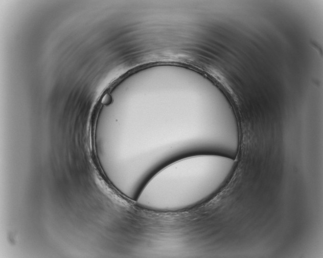 X0000100491080200806130750