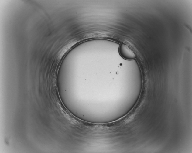 X0000100491081200806130750