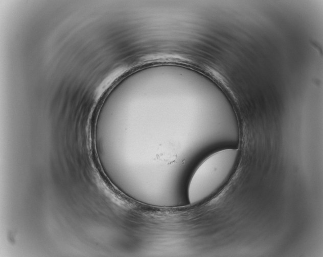 X0000100491082200806130750