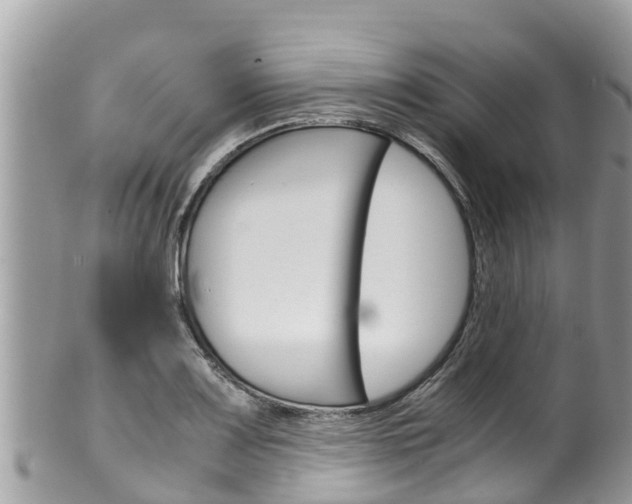 X0000100491083200806130750