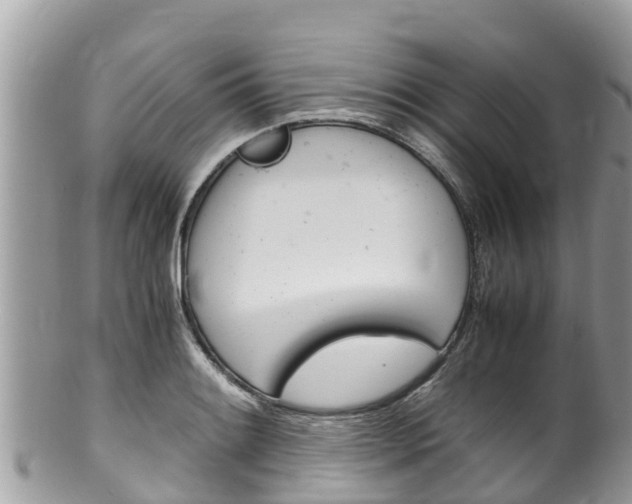 X0000100491084200806130750