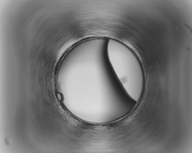 X0000100491085200806130750