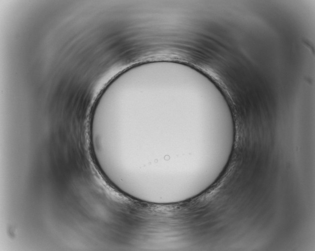 X0000100491086200806130750