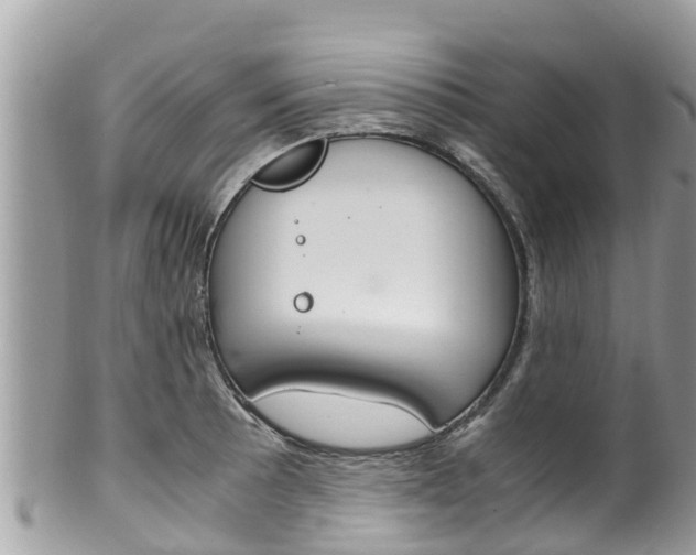 X0000100491089200806130750