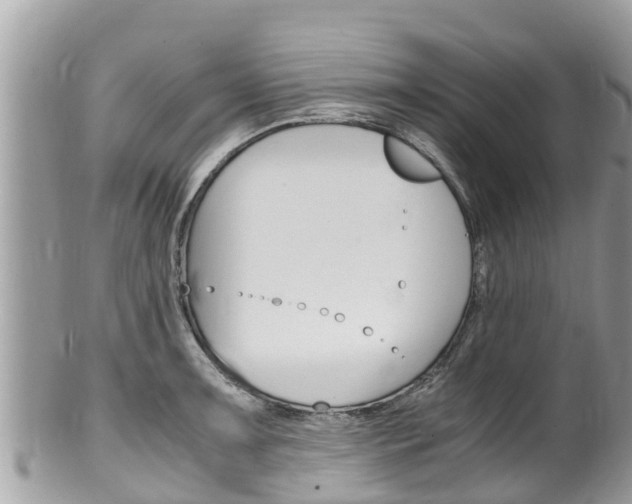 X0000100491091200806130750