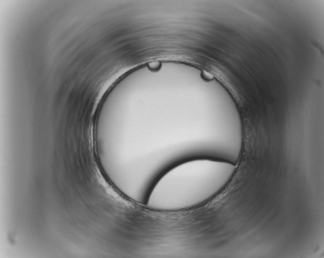 X0000100491092200806130750