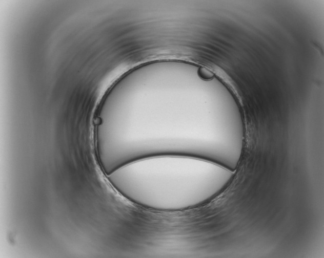 X0000100491096200806130750