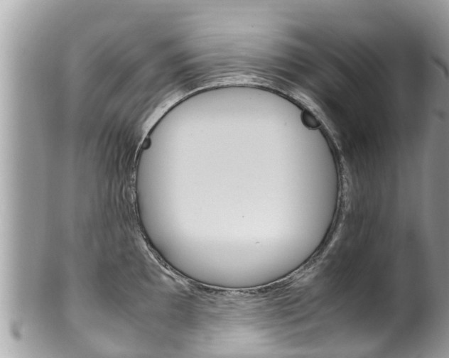 X0000100491097200806130750