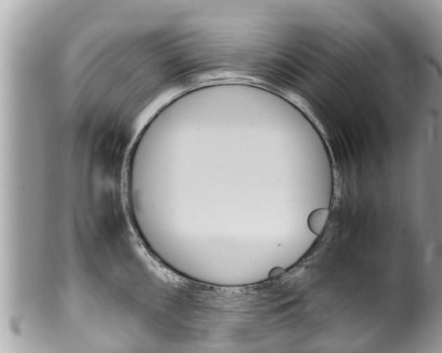 X0000100491098200806130750