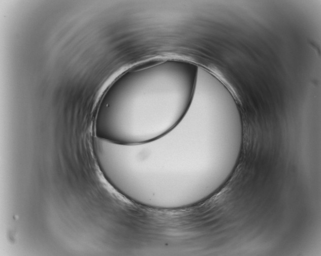 X0000100491100200806130750