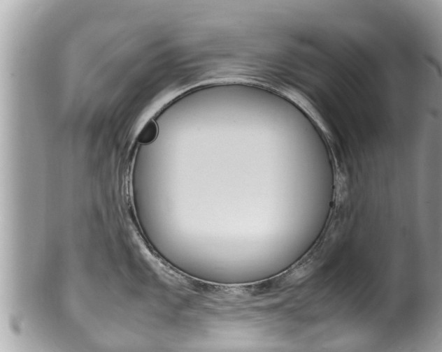 X0000100491101200806130750