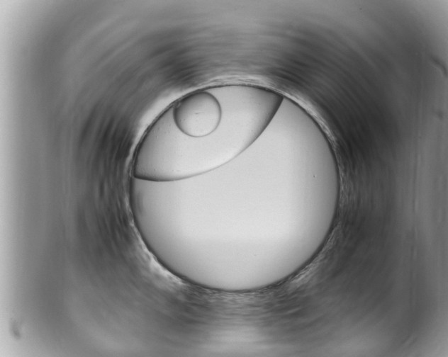 X0000100491102200806130750