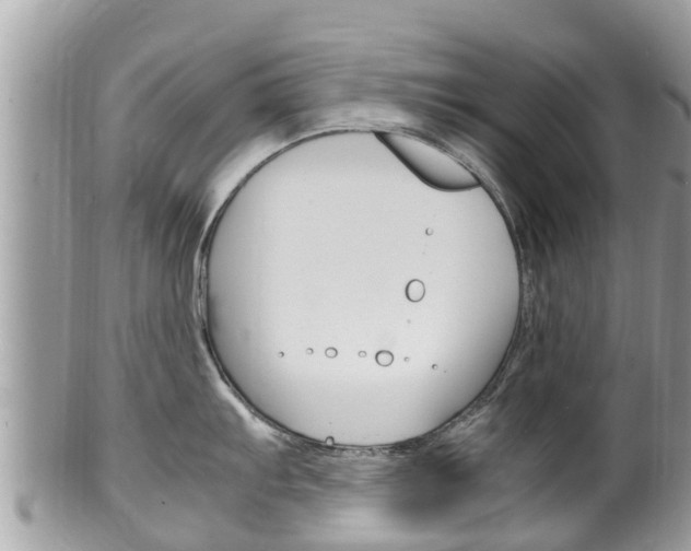 X0000100491103200806130750