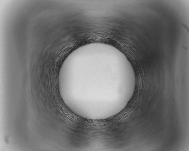X0000100491105200806130749