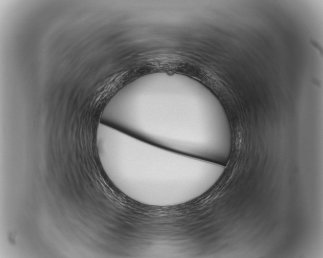 X0000100491108200806130749