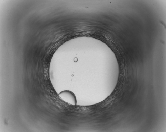 X0000100491109200806130749