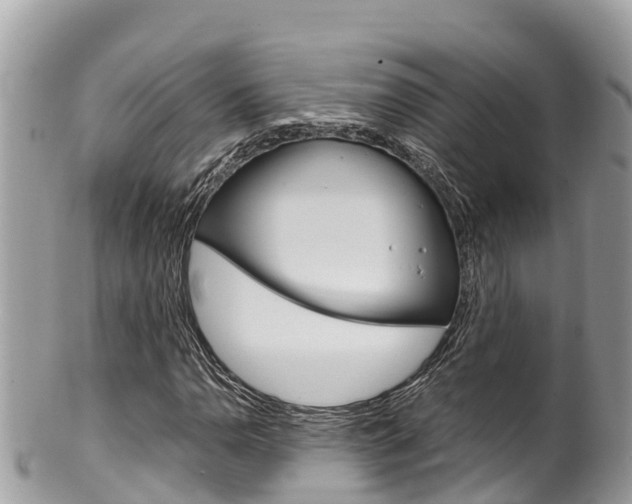 X0000100491110200806130749