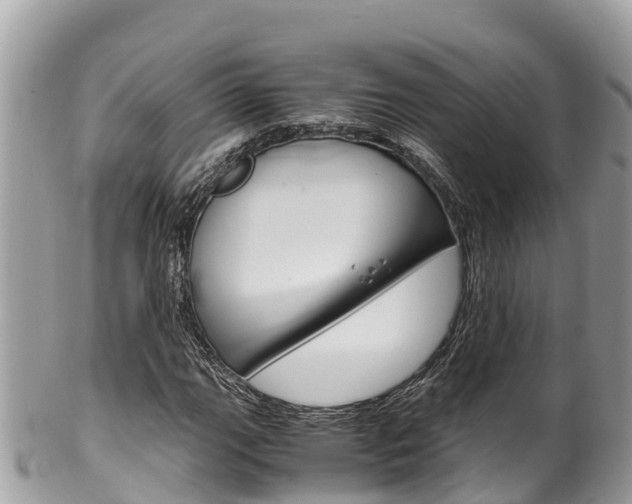 X0000100491111200806130749