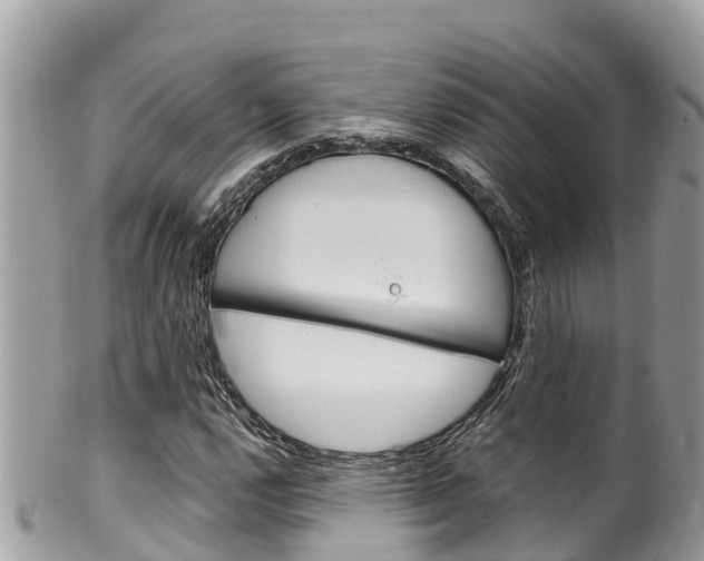 X0000100491112200806130749