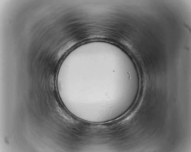 X0000100491113200806130749