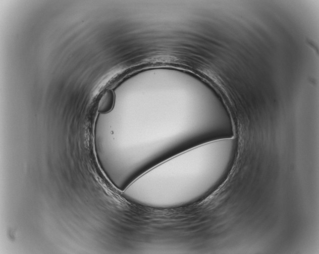 X0000100491115200806130749