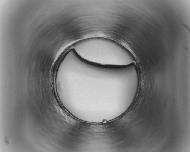 X0000100491116200806130749