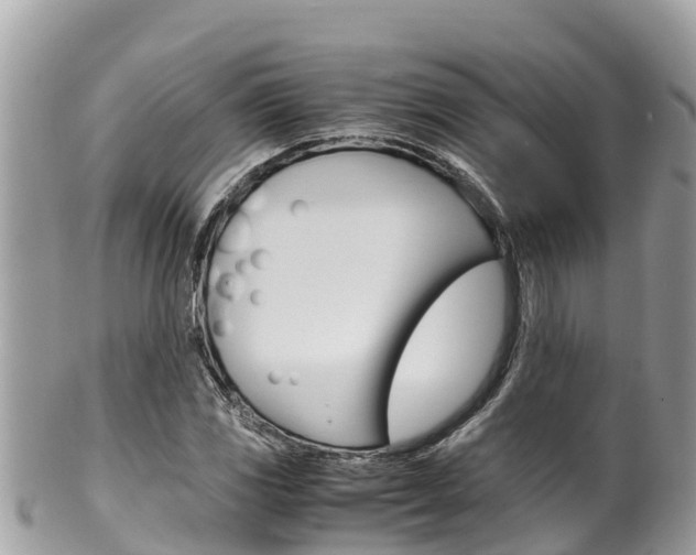 X0000100491117200806130749