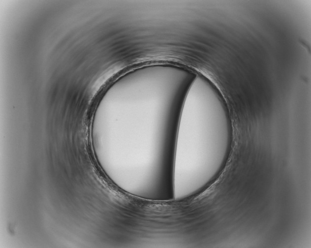 X0000100491119200806130749