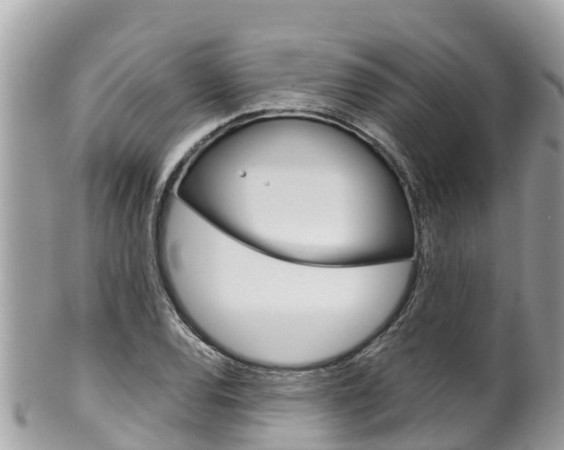 X0000100491120200806130749