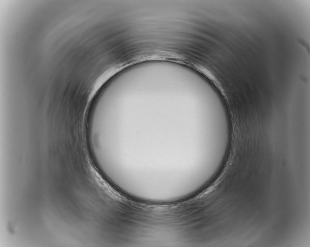 X0000100491122200806130749