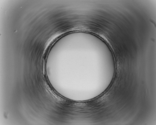 X0000100491123200806130749