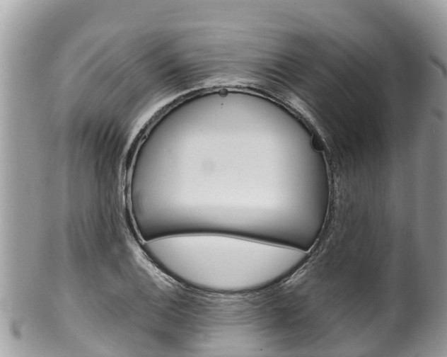 X0000100491124200806130749