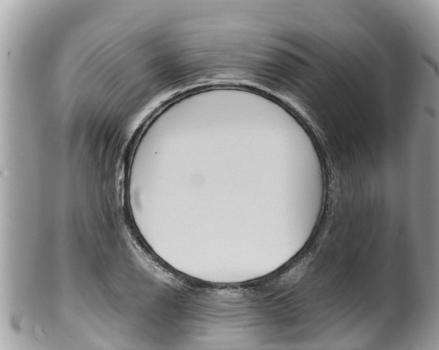 X0000100491126200806130749