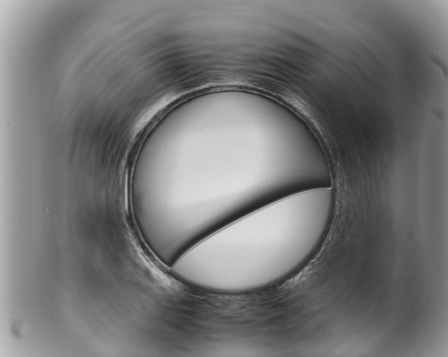 X0000100491127200806130749