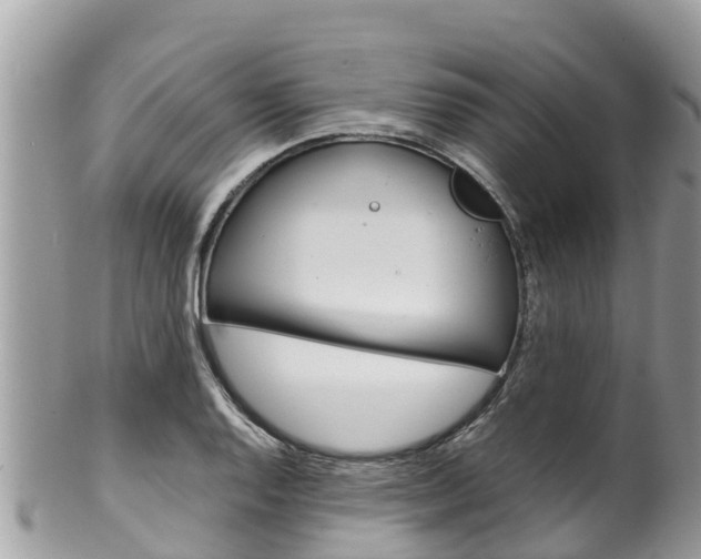 X0000100491128200806130749