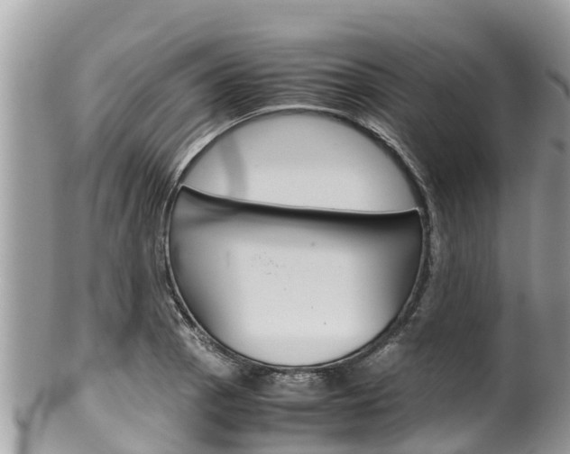 X0000100491129200806130749