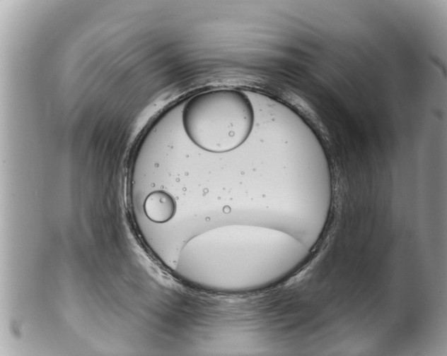 X0000100491130200806130749