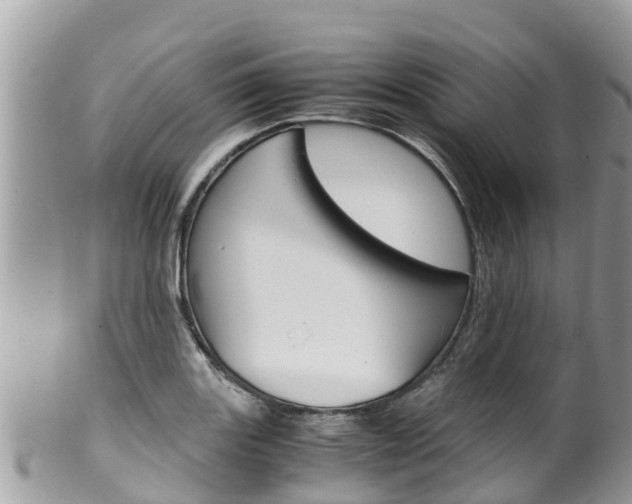 X0000100491131200806130749
