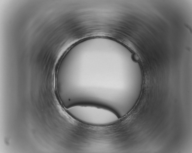 X0000100491132200806130749