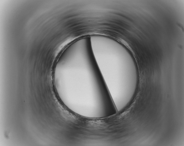X0000100491133200806130749