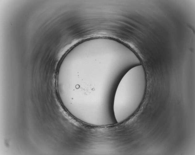 X0000100491134200806130749