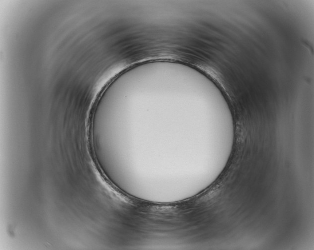 X0000100491135200806130749