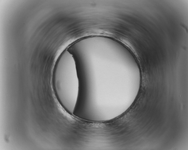 X0000100491136200806130749