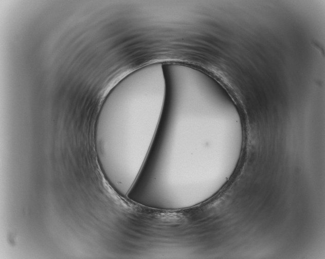X0000100491137200806130749