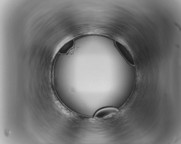 X0000100491138200806130749