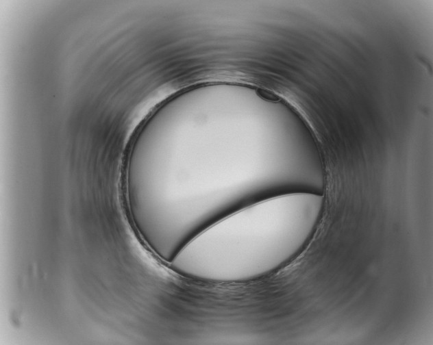 X0000100491139200806130749