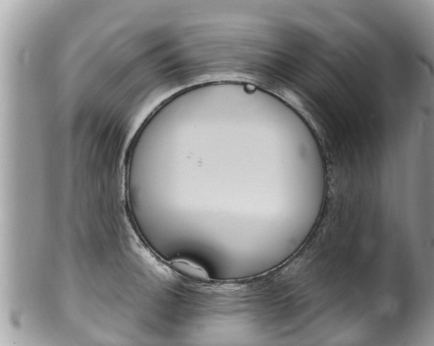 X0000100491140200806130750