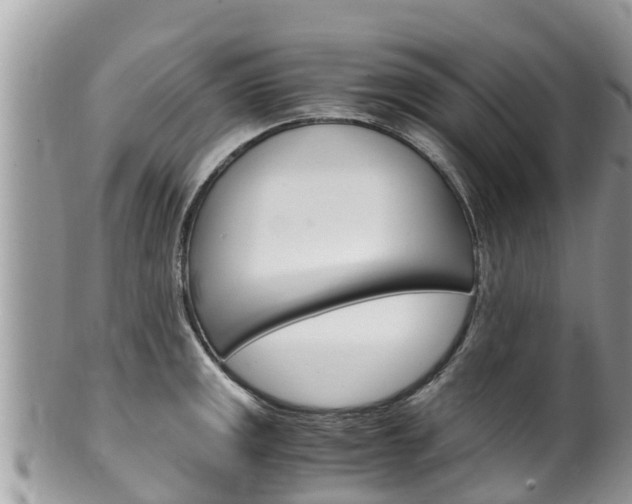 X0000100491141200806130750
